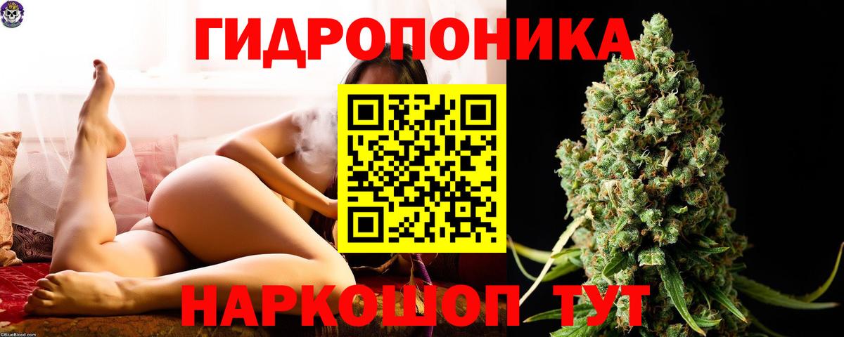 Бошки Шишки ГИДРОПОН  Бошки марихуана конопля  МАРИХУАНА индика  Гуково  Вход с VPN  Канабис сатива 